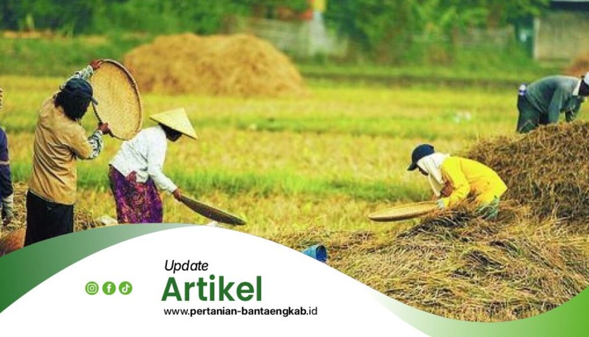 Dinas Pertanian Kabupaten Bantaeng Artikel1