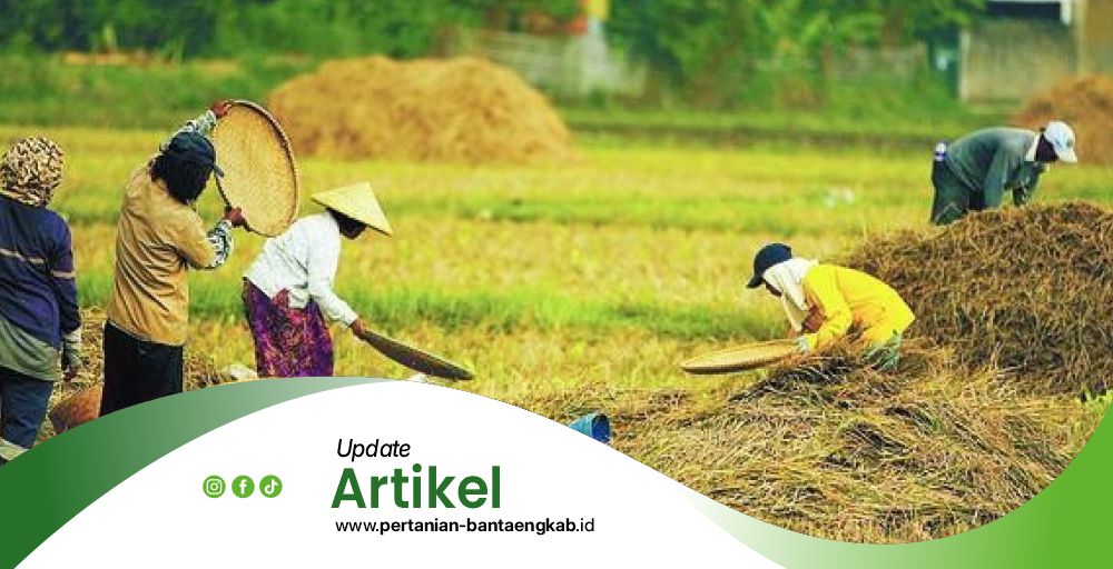 Dinas Pertanian Kabupaten Bantaeng Artikel1