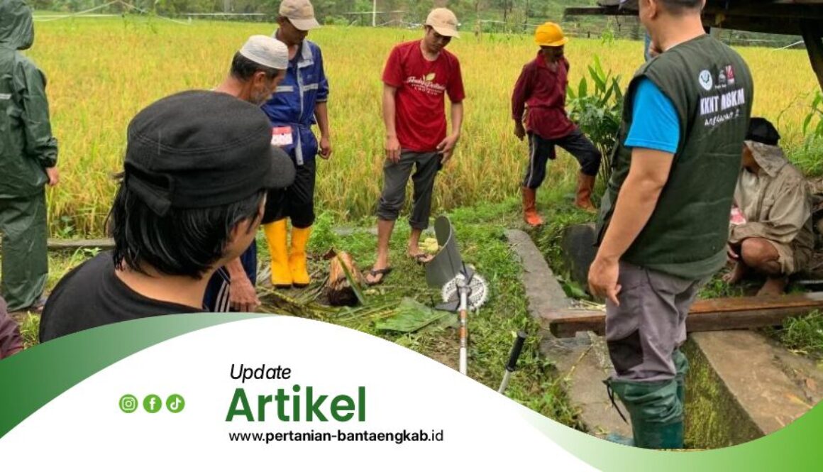 Dinas Pertanian Kabupaten Bantaeng Artikel2