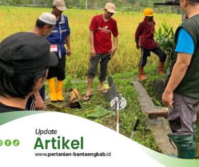 Dinas Pertanian Kabupaten Bantaeng Artikel2