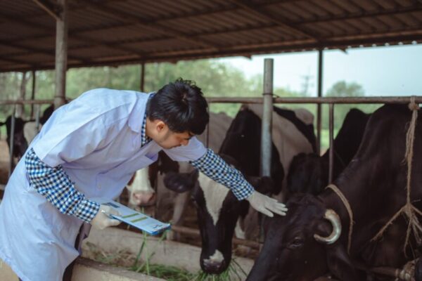 Layanan Kesehatan Hewan