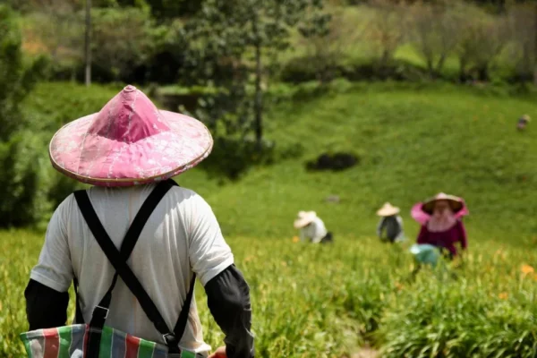Layanan Pengaduan Masyarakat