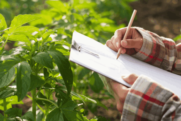 perizinan dan administrasi pertanian